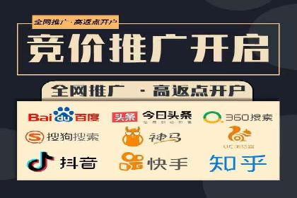 竞价托管服务案例解析